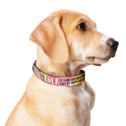 Collar perro personalizado